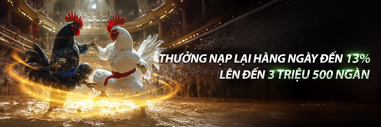 Đá Gà Trực Tuyến Hấp Dẫn tại sabong67 nổ hũ